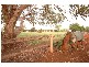 21 Dhal Street, Cotswold Hills QLD 4350