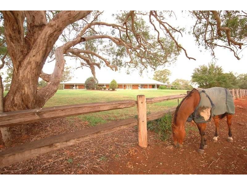 21 Dhal Street, Cotswold Hills QLD 4350