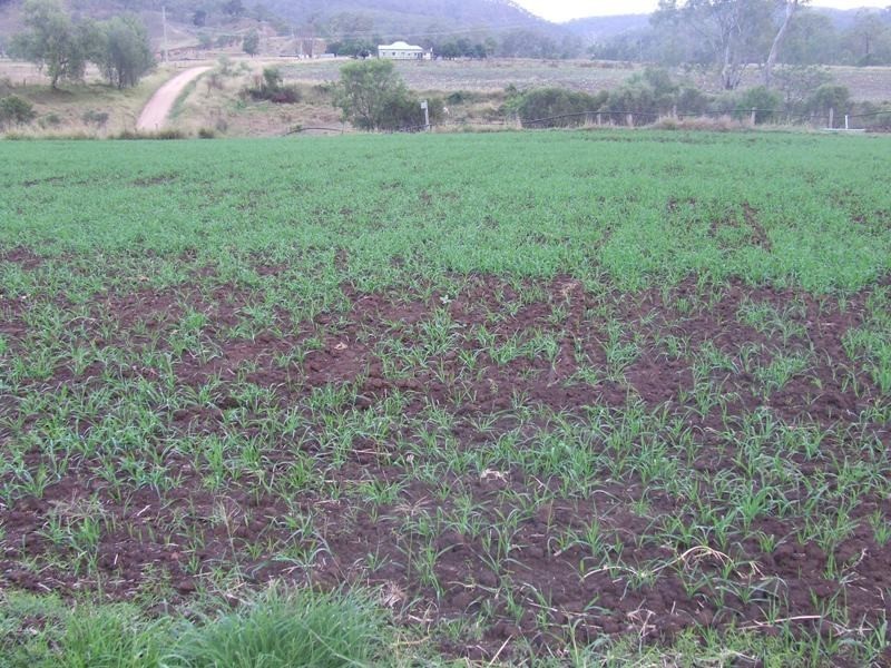 95 Egypt Road, Fordsdale QLD 4343