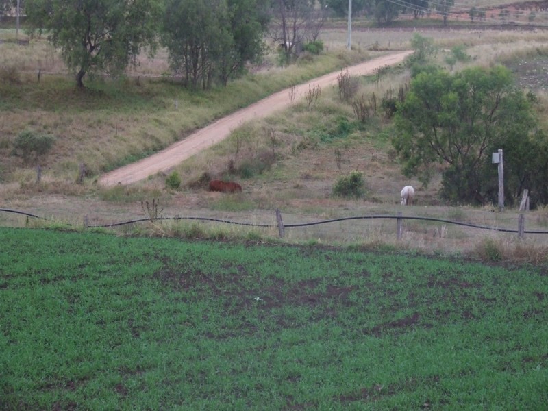 95 Egypt Road, Fordsdale QLD 4343