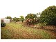 21 Broadfoot Street, Kearneys Spring QLD 4350
