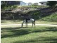 Lot 12 Acacia Avenue, Top Camp QLD 4350