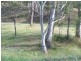 Lot 12 Acacia Avenue, Top Camp QLD 4350