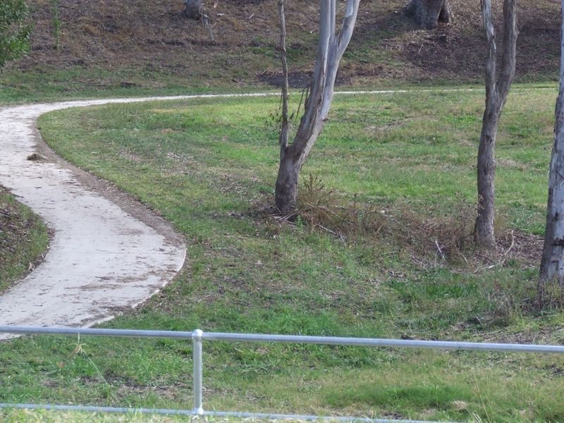Lot 12 Acacia Avenue, Top Camp QLD 4350