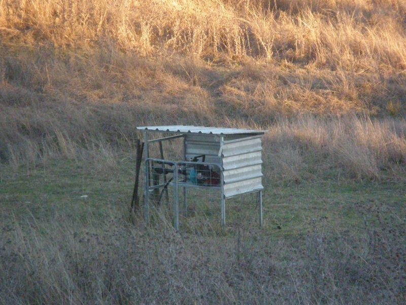 38 Halls Road, Allora QLD 4362