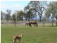 26 Bridie Road, Greenmount QLD 4359
