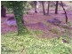 122 Glenlyon Drive, Stanthorpe QLD 4380