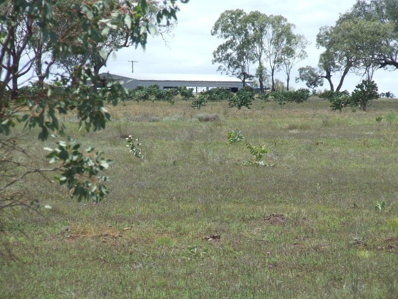 157 Malu Road, Jondaryan QLD 4403