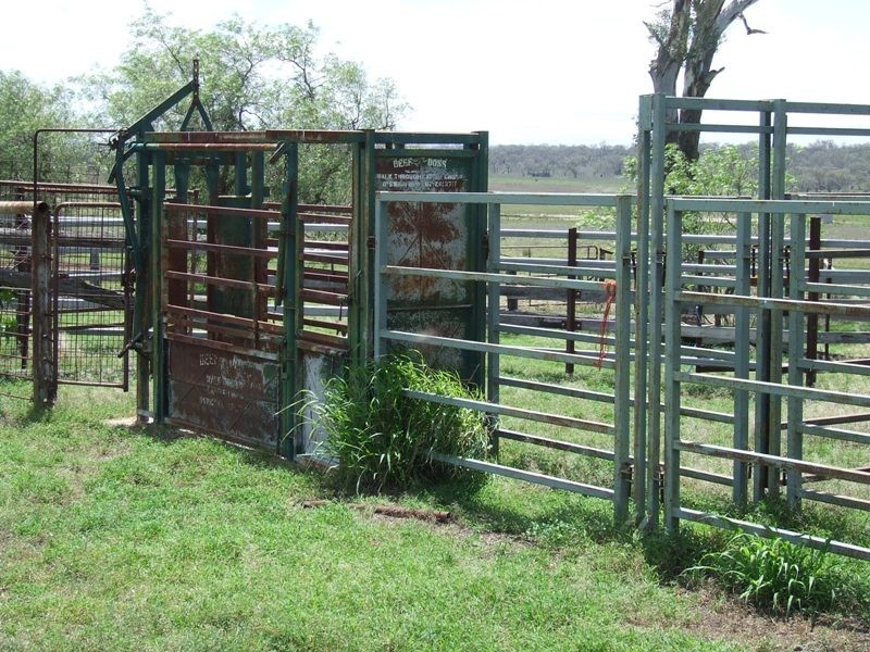 157 Malu Road, Jondaryan QLD 4403