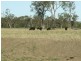 “Glencoe” Casiles Road, Yandilla QLD 4352