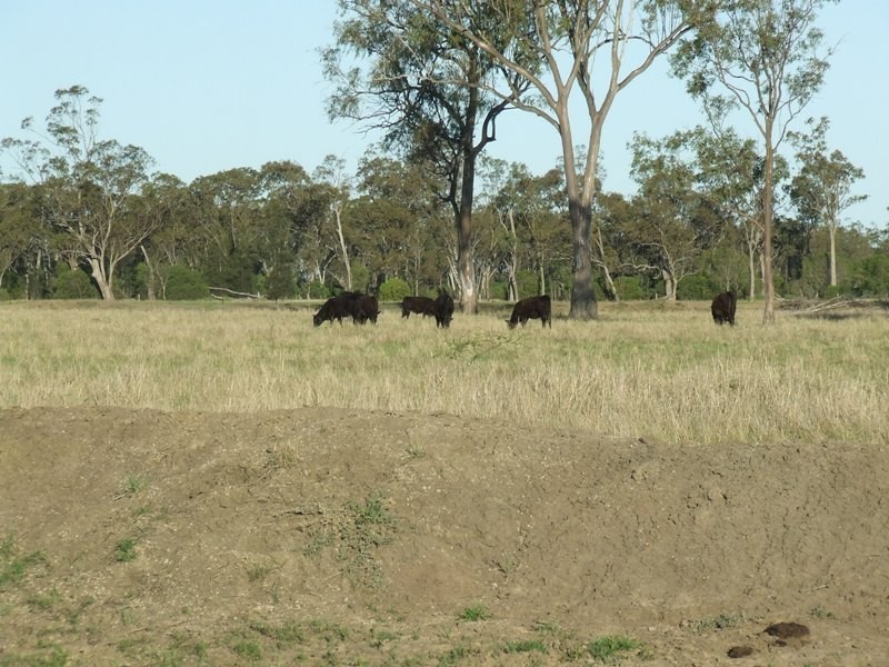 “Glencoe” Casiles Road, Yandilla QLD 4352