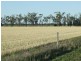 “Glencoe” Casiles Road, Yandilla QLD 4352