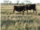 “Glencoe” Casiles Road, Yandilla QLD 4352