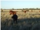 “Glencoe” Casiles Road, Yandilla QLD 4352