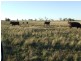 “Glencoe” Casiles Road, Yandilla QLD 4352