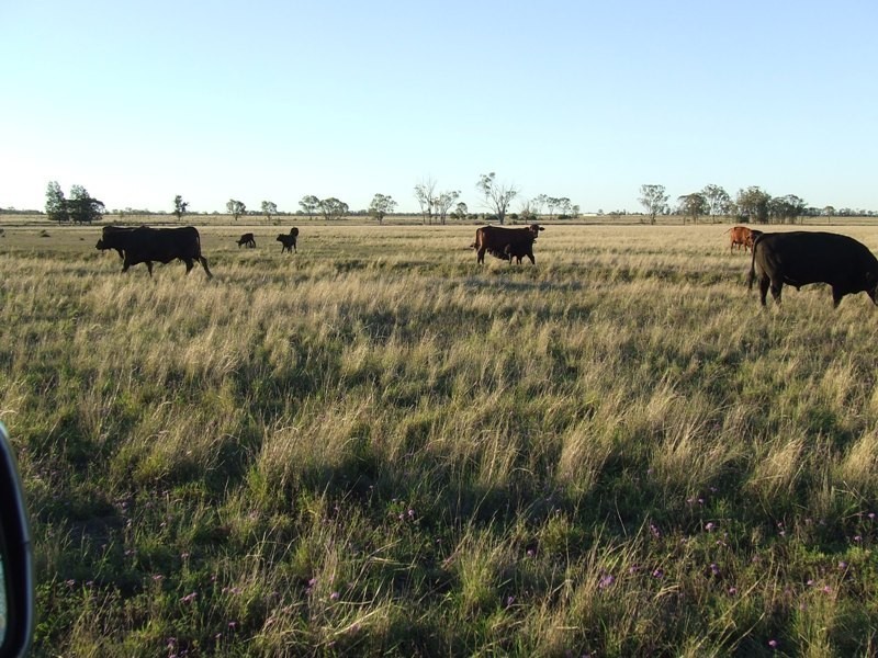 “Glencoe” Casiles Road, Yandilla QLD 4352