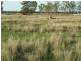 “Glencoe” Casiles Road, Yandilla QLD 4352