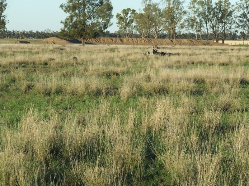 “Glencoe” Casiles Road, Yandilla QLD 4352