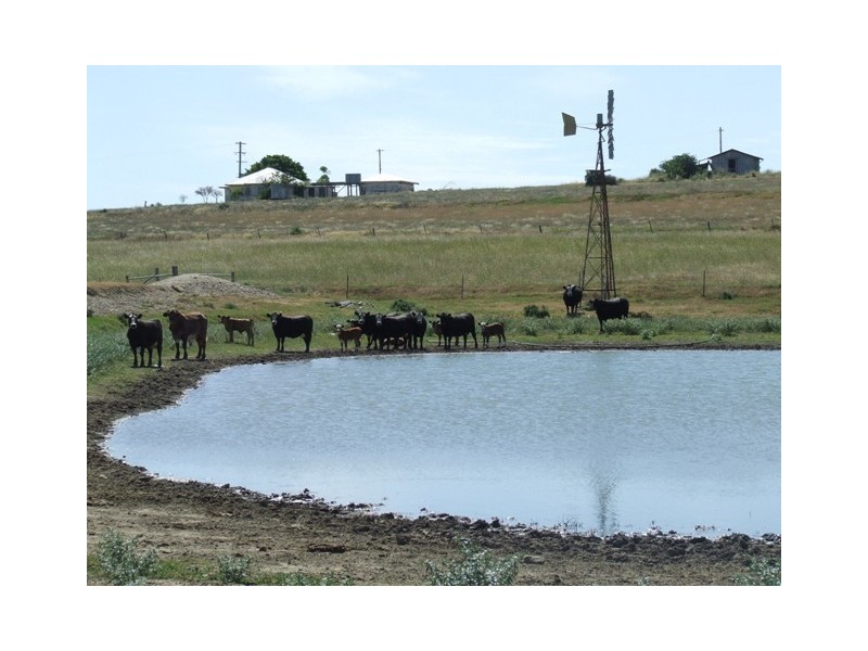 - Koorongara-Bulli Creek Rd, Millmerran QLD 4357