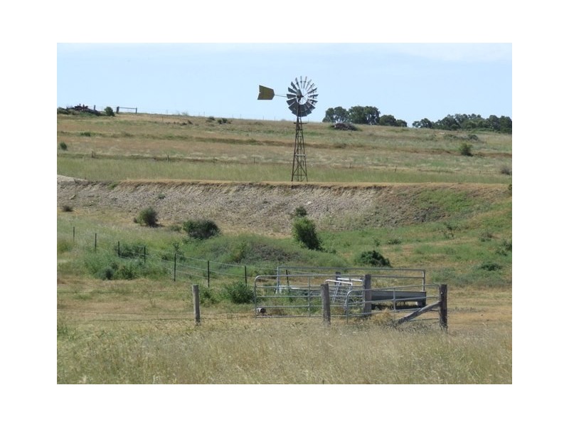 - Koorongara-Bulli Creek Rd, Millmerran QLD 4357