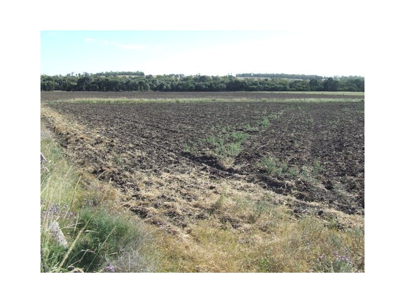 - Koorongara-Bulli Creek Rd, Millmerran QLD 4357