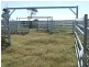 - Koorongara-Bulli Creek Rd, Millmerran QLD 4357