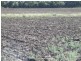 - Koorongara-Bulli Creek Rd, Millmerran QLD 4357