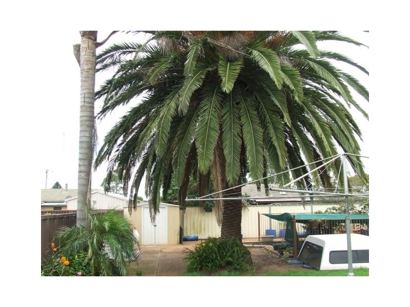 8 Lister Street, Harristown QLD 4350