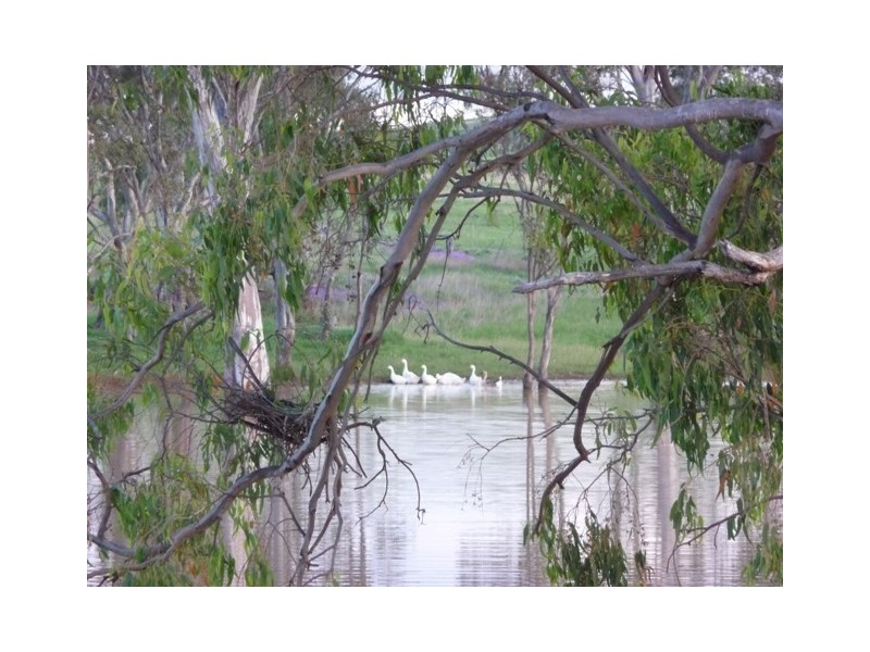 173 Lipp Road, Toowoomba QLD 4350