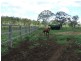 173 Lipp Road, Toowoomba QLD 4350