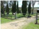 173 Lipp Road, Toowoomba QLD 4350