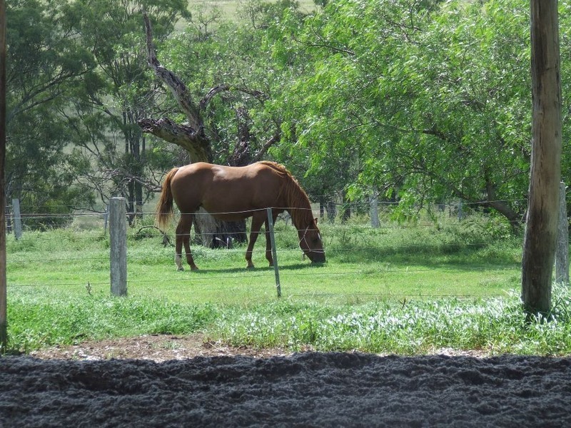 5758 New England Highway, Crows Nest QLD 4355