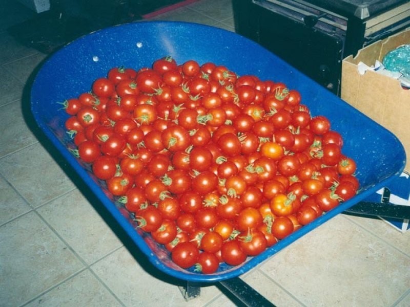 105 Koreelah Street, Upper Lockyer QLD 4352