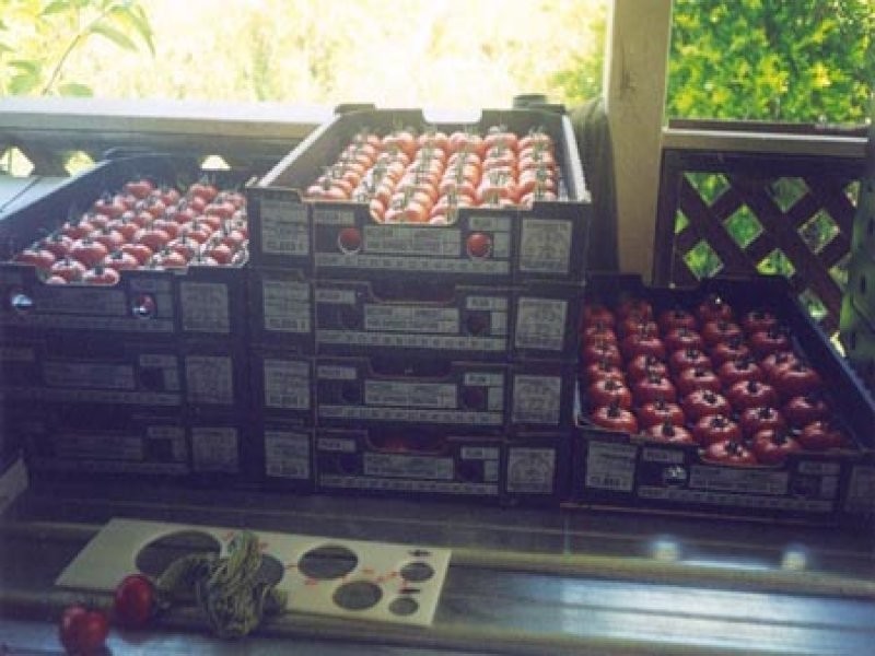 105 Koreelah Street, Upper Lockyer QLD 4352