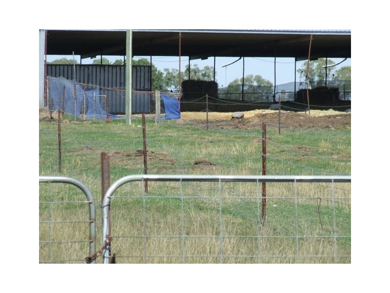 50 Boundry Road, Pittsworth QLD 4356