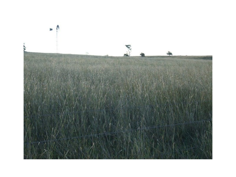 346 Wyreema Cambooya Road, Cambooya QLD 4358