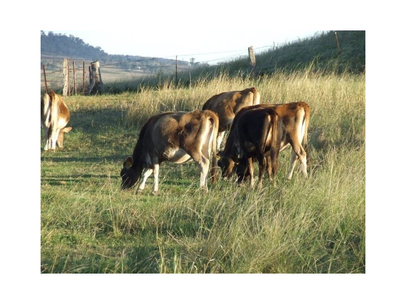 346 Wyreema Cambooya Road, Cambooya QLD 4358