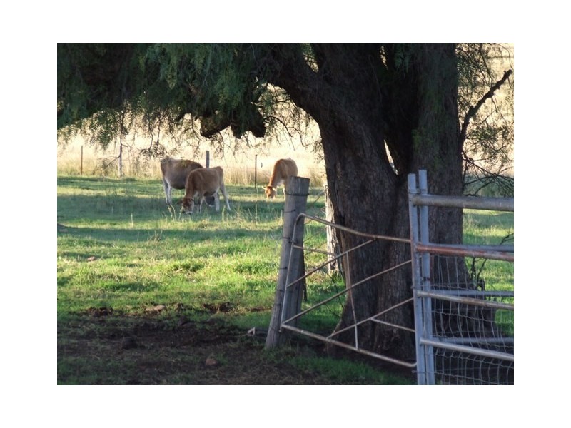 346 Wyreema Cambooya Road, Cambooya QLD 4358