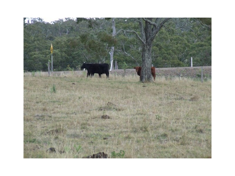 Lot 10 Wilsons Road, Toowoomba QLD 4350