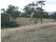 Lot 10 Wilsons Road, Toowoomba QLD 4350