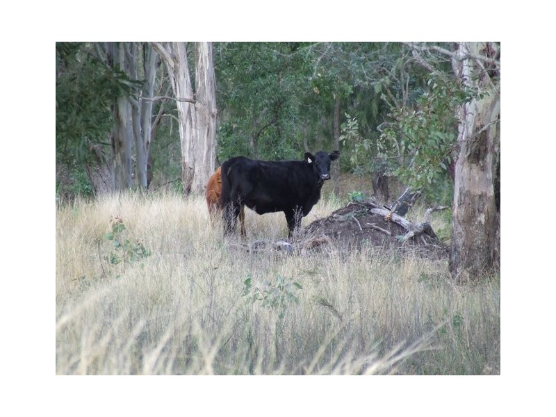 Lot 10 Wilsons Road, Toowoomba QLD 4350
