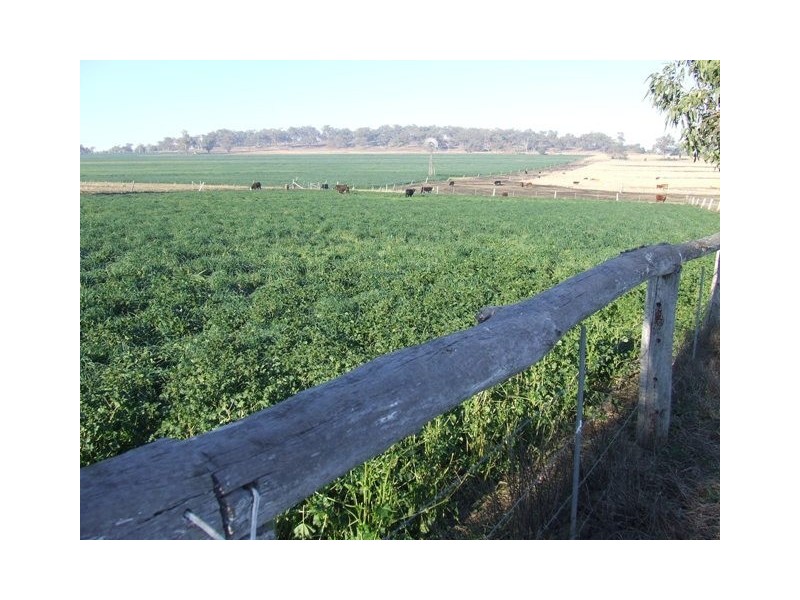 372 Felton-Clifton Road, Felton QLD 4358