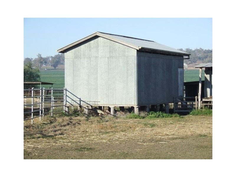 372 Felton-Clifton Road, Felton QLD 4358