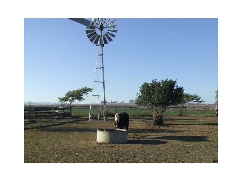 372 Felton-Clifton Road, Felton QLD 4358