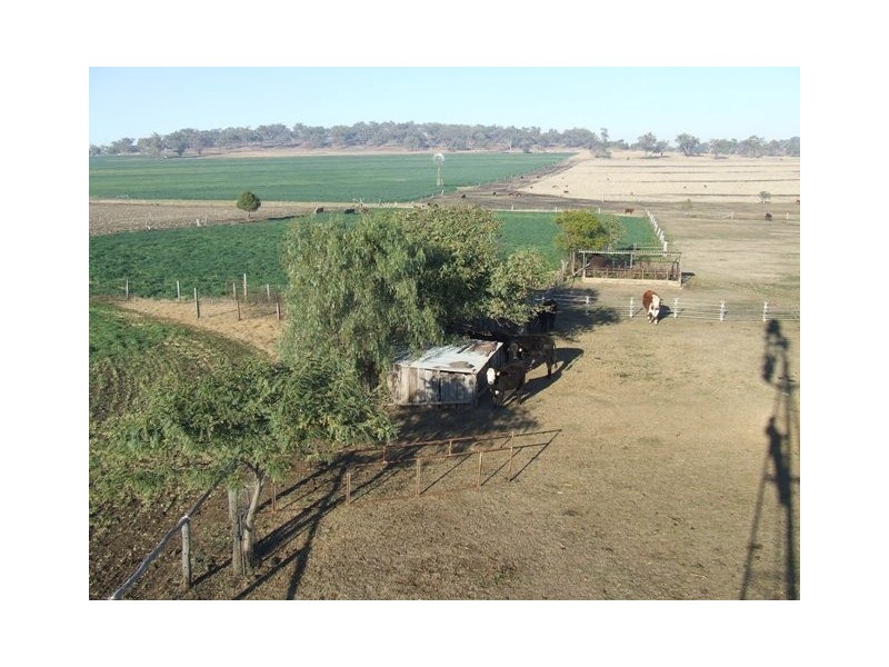 372 Felton-Clifton Road, Felton QLD 4358