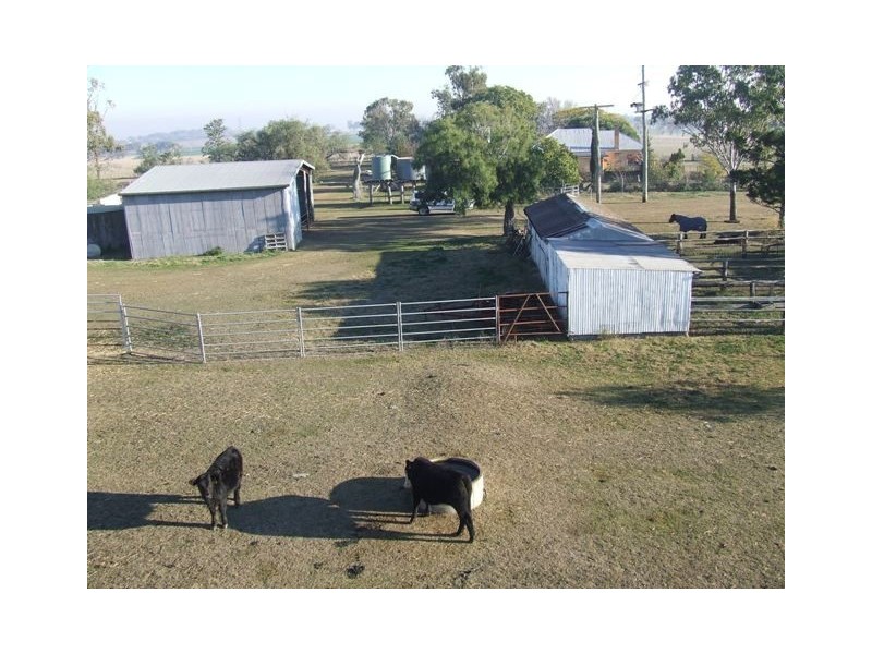 372 Felton-Clifton Road, Felton QLD 4358