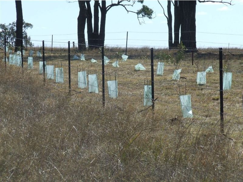 245 Wyreema Athol Road, Athol QLD 4350