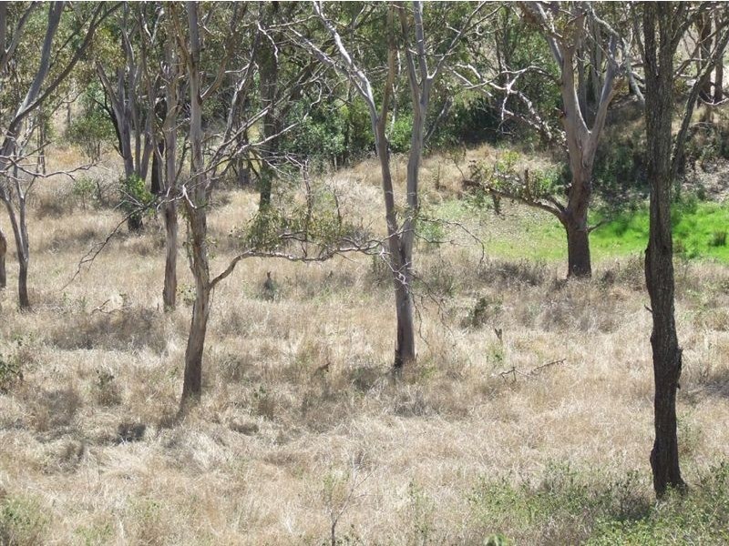 10 Claudia Court, Top Camp QLD 4350