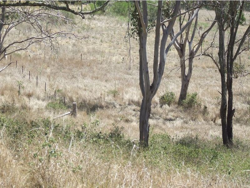 10 Claudia Court, Top Camp QLD 4350