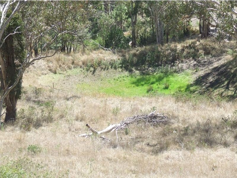 10 Claudia Court, Top Camp QLD 4350